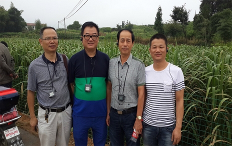 2014年8月，中國(guó)蔬菜流通協(xié)會(huì)會(huì)長(zhǎng)戴中久與公司、市場(chǎng)領(lǐng)導(dǎo)一起考察蔬菜基地