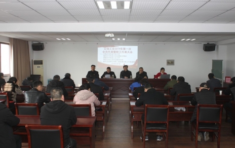 履行“兩會”職責、促進企業(yè)發(fā)展