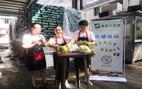 創(chuàng)意直播帶貨,本期專欄：蘭州高原夏菜！